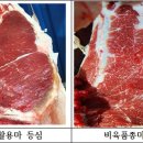진흥축산 이미지