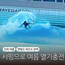 국제파크 | [시흥 웨이브파크 후기] 국제서핑대회·DJ 페스티벌, 이런 행사는 놓치면 아쉬워요!🌊🎧