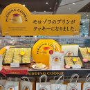 주식회사 카브 이미지