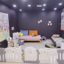 멜로디펍스 | 강아지분양 대구 동구 율하동 멜로디펍스 위치 가격 후기