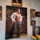 바디캠프 이미지