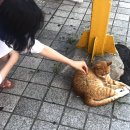 황가네생구이 | [여행] 강원도 속초 여름휴가기록 ᒄ₍⁽ˆ⁰ˆ⁾₎ᒃ