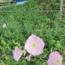 흥덕농장 이미지