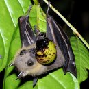 만수2동어린이도서관 이미지