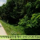 나산리 이미지