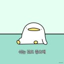 더찬스짐 역동점 이미지