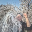 동산에서 | 대구 벚꽃 셀프 웨딩 촬영 후기 🌸 | 꽃보라동산에서 찍은 셀프 웨딩사진 (feat. 테무 드레스)