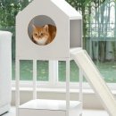 화이트펫# 이미지