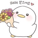 제이홍뷰티