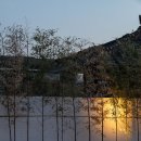 스테이 매료 이미지