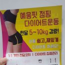 예움핏