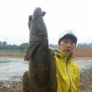 만식이네 이미지