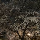 (주)오드와 | W. 베뉴정하기(바꾸기)_오드힐하우스 계약취소/더채플앳논현 라메르홀 계약후기