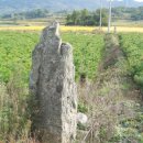 용화사 미륵불 이미지