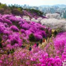 부천-중동-부천-013 이미지