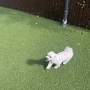 삼육사로25 이미지