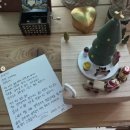 나는솔로 31기 옥순은 보호하고 25기 영자는 퇴출? 나솔사계 논란의 중심, 진정성을 잃어버린 예능의 민낯