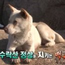 모정농장 이미지