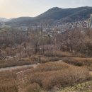 철쭉동산 이미지