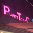 퍼피타운커피 이미지