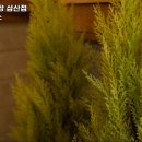 청년헬스장 삼산점 24시 헬스 이미지