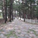 관동농장 이미지