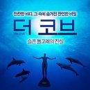 돌고래쿠키
