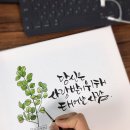 캘리그라피B 이미지
