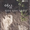 어싱(Earthing) 요법을 통한 자연 치유 이미지