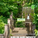 여름에 걷기 좋은 숲멍 산책 코스로 추천하는 경주 건천 편백나무숲
