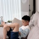 보라하다헤어