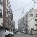 11얼 5일: 키가 컸다.