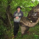 오름나그네 이미지