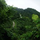 늘푸른세차장 이미지