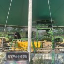 양서·파충류생태공원 아나콘다관 이미지