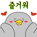 금당 우리집 오리 이미지