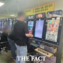 건전성인게임장 더팩트