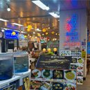 동문공설시장 | 동해수산회센타 제주본점 동문시장횟집 가성비 회세트 찾는다면 여기로