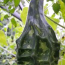 중앙2로43번길 이미지