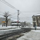 주은마트 | [청유투어 / 북해도] 새로운 인연과 함께한 너무 즐거운 1일차!