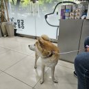 동물의왕국 동물병원 이미지