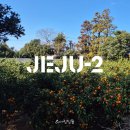 신화방앗간 | N번째 제주 여행 - 2025년 마지막 여행. 크리스마스, 신화월드 랜딩관