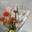 설레화