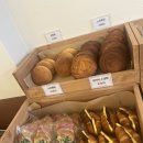 꼬솜(kkosom) 이미지