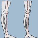 153여성전용PT샵 이미지