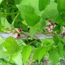 산내농장 이미지