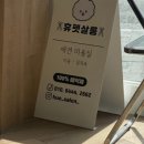 휴펫살롱 이미지