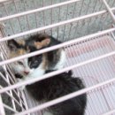 중곡동물병원 이미지