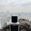 멀티카 | 빈트 뉴욕 카퍼퓸 루미나 폴 후기 │ 향수급 멀티 퍼퓸로 일상 올인원 향 완성