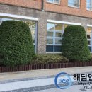 PE화단경계목으로 학교화단 정비작업하였습니다. 이미지